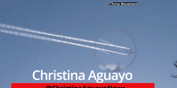 DeSantis Bans Geoengineering & Weather Modification In Florida (Chem-Trails)